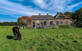 Tranquility Farm